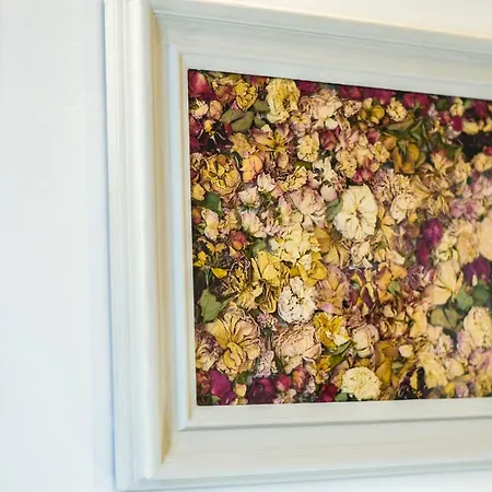Oltrarno's Sweet Rose - Free Parking! アパート